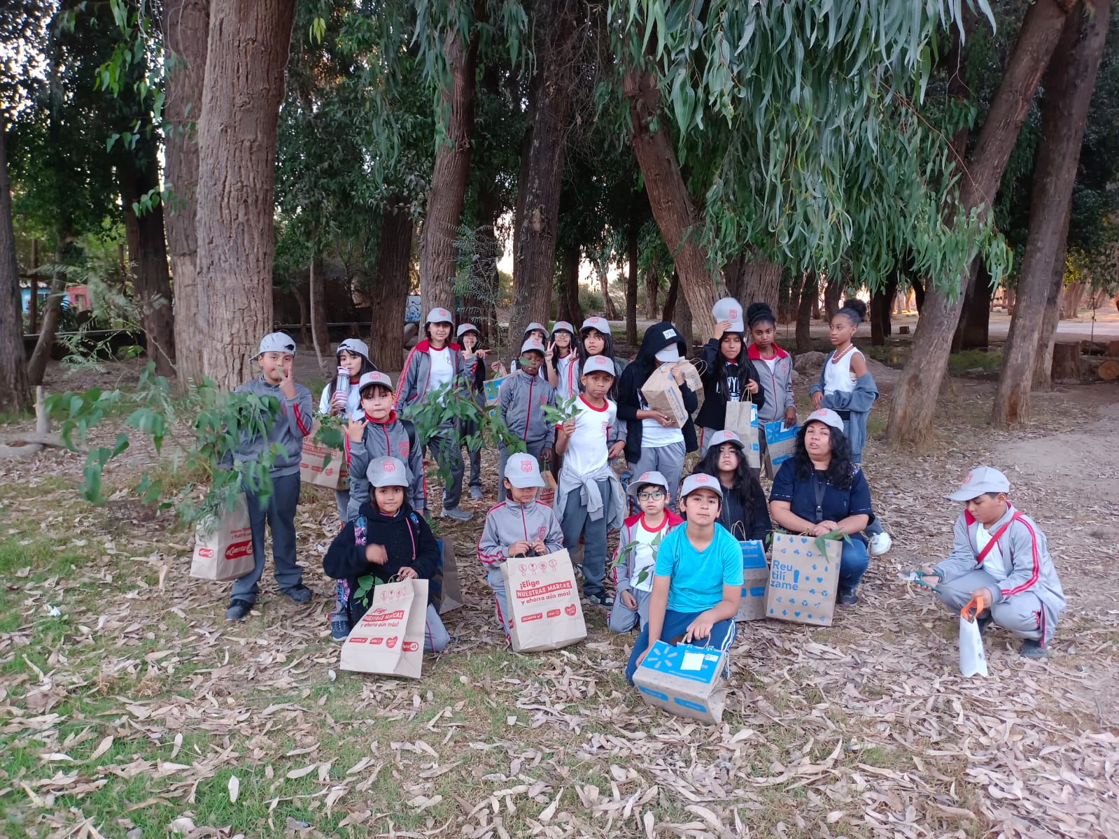 Estudiantes de la Escuela Laura Robles Silva fortalecen aprendizajes en terreno a través del Taller de Huerto Escolar