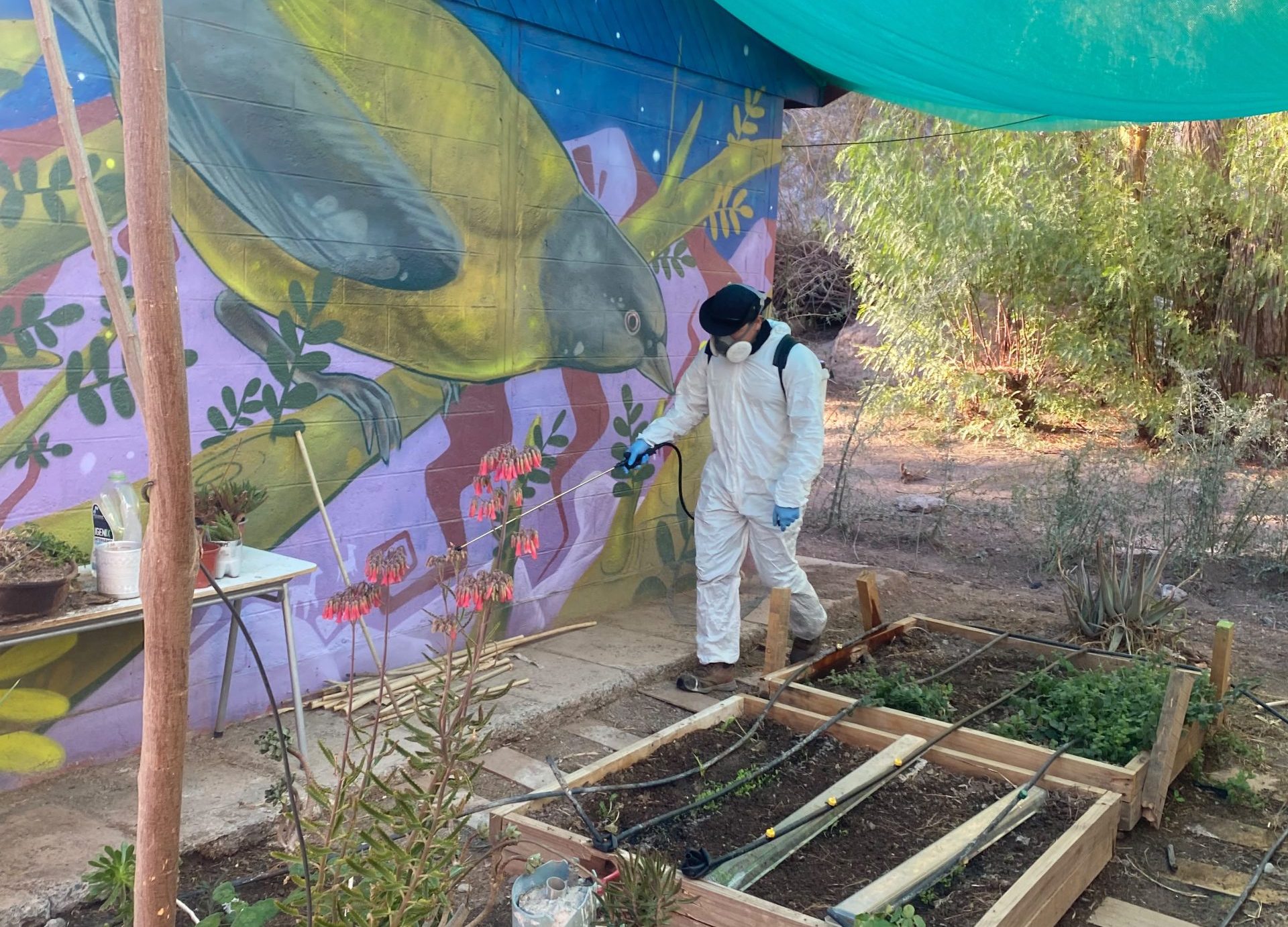 SLEP Atacama fortalece acciones preventivas de sanitización en establecimientos educacionales del territorio