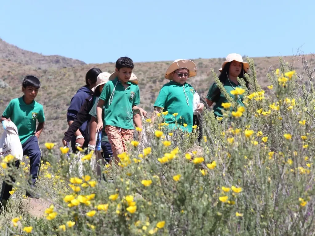 Estudiantes del Liceo San Pedro participan en trekking educativo para conocer y proteger el Desierto Florido